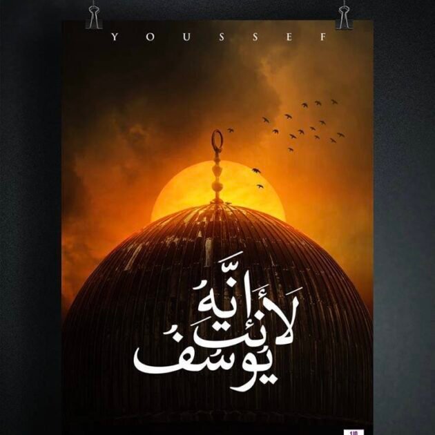 كتاب انه لانت يوسف - منار محمد عبد النبي