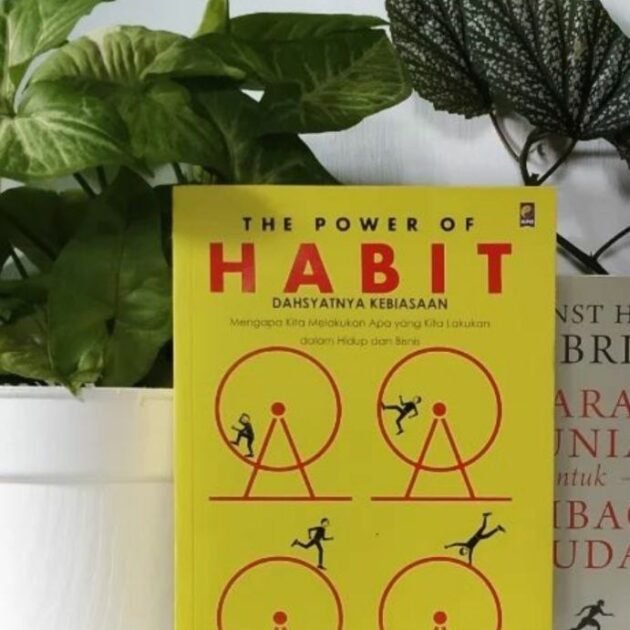 Charles Duhigg - The power of habit